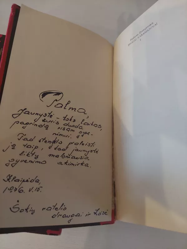 Broliai Karamazovai (2 knygos) - Fiodoras Dostojevskis, knyga 4