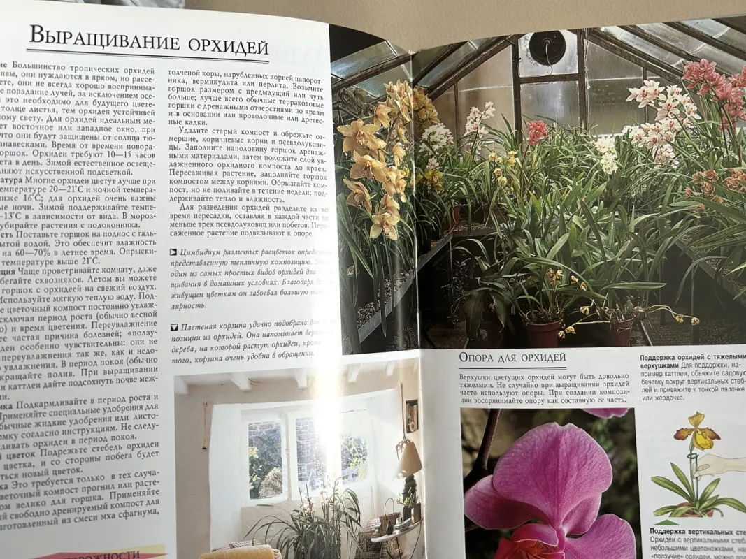 Dekoratyviniai augalai - Autorių kolektyvas (įvairūs), knyga 5