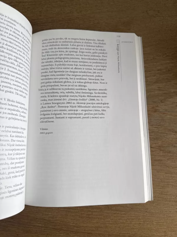 Moteris su lauko gėlėmis - Nijolė Miliauskaitė, knyga 6