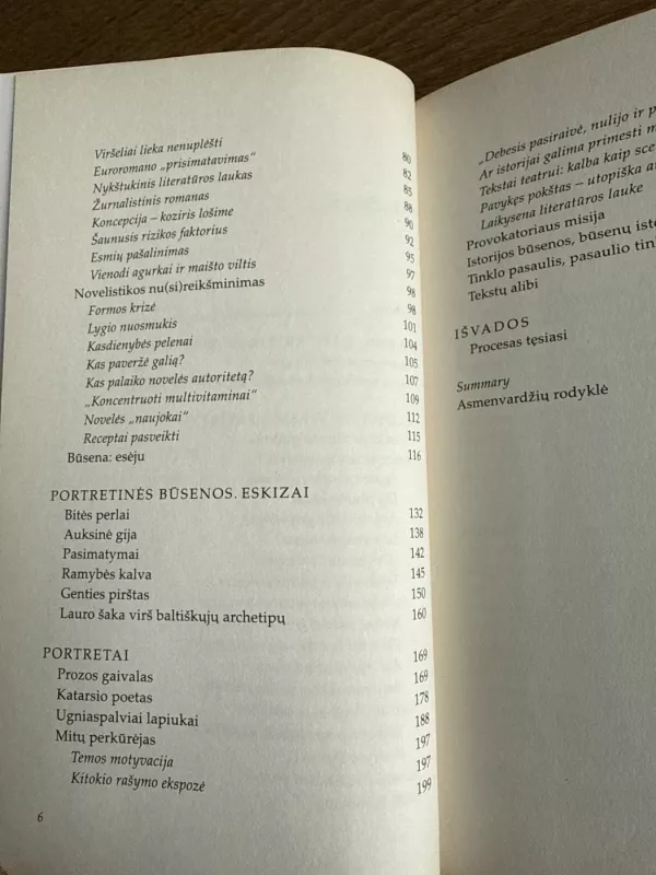 Prozos būsenos 1988-2005 - Jūratė Sprindytė, knyga 4