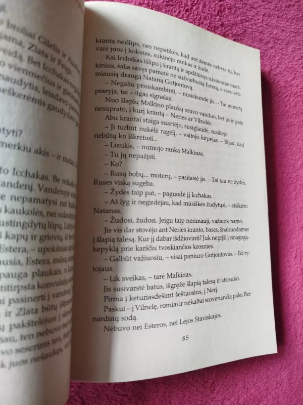 Žydų parkas - Grigorijus Kanovičius, knyga 4