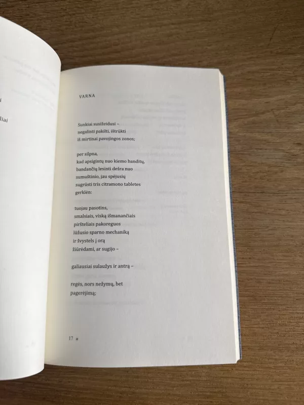 Paukštuko liudijimai - Aivaras Veiknys, knyga 4