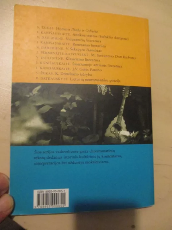 LIETUVIŲ NEOROMANTIKŲ POEZIJA - Dalia Satkauskytė, knyga 4