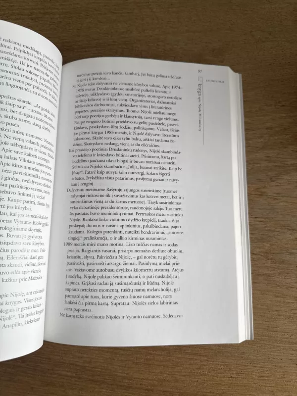 Moteris su lauko gėlėmis - Nijolė Miliauskaitė, knyga 5