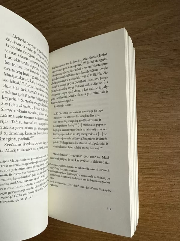 Švystelėjo kaip meteoras - Solveiga Daugirdaitė, knyga 5