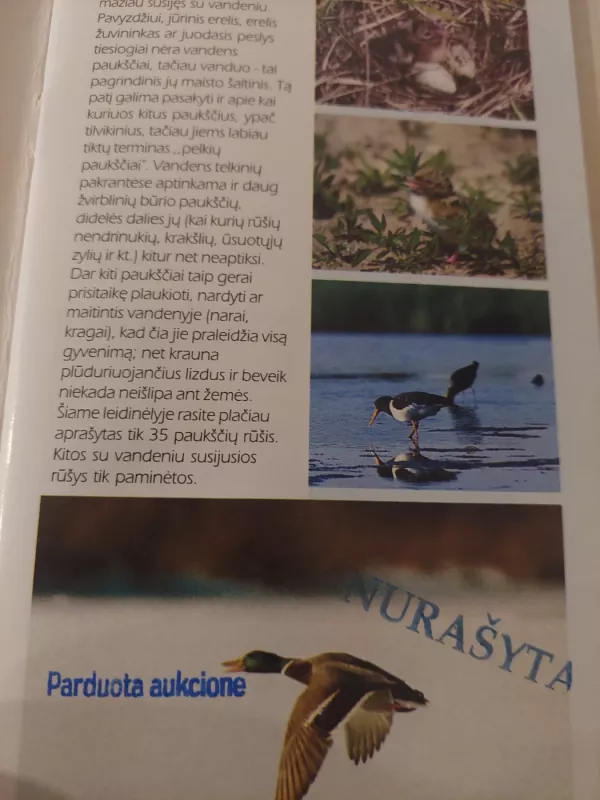 Vandens paukščiai - Vytautas Jusys, knyga 3