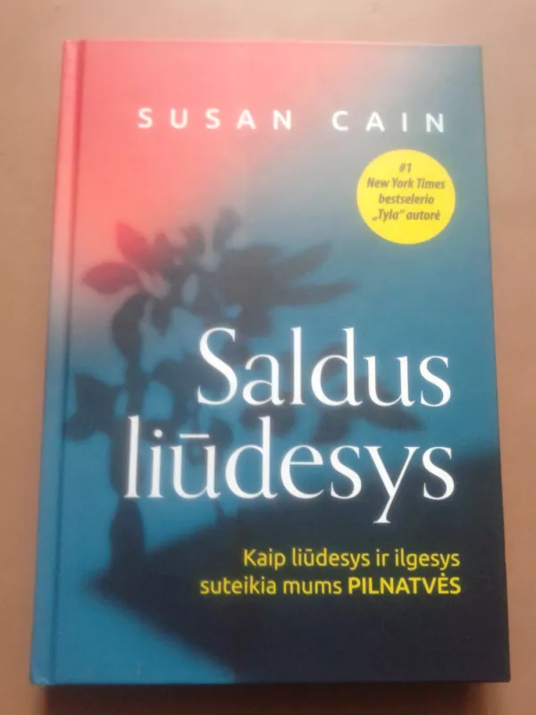 Saldus liūdesys - Susan Cain, knyga 2