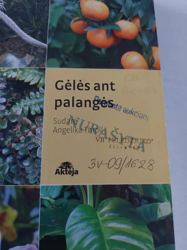 Gėlės ant palangės - Angelika Throll, knyga 3