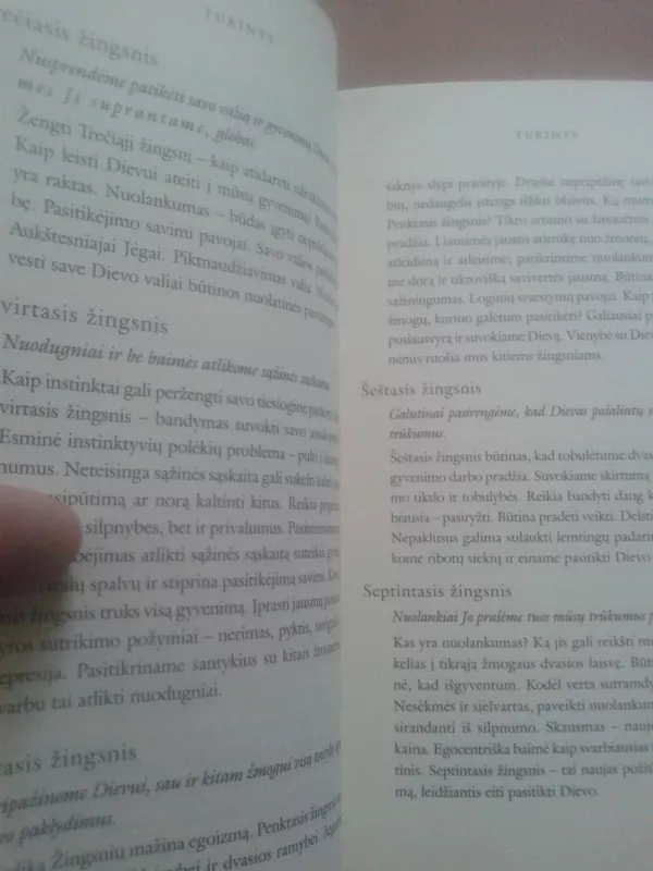 Dvylika žingsnių ir dvylika tradicijų - Autorių Kolektyvas, knyga 6