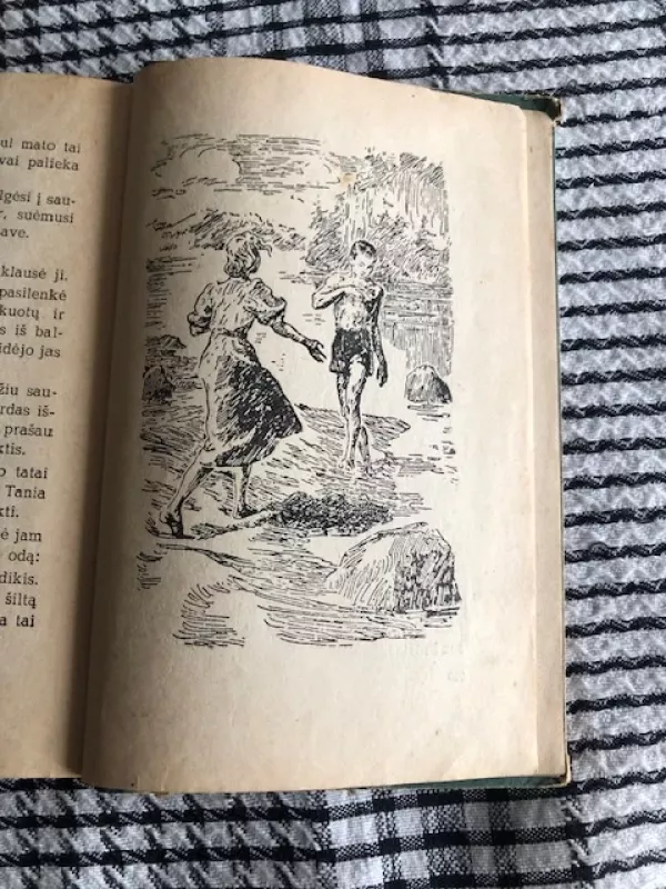 Laukinis šuo Dingas (antikvarinė, 1957) - R. Frajermanas, P. Zaikinas, knyga 4