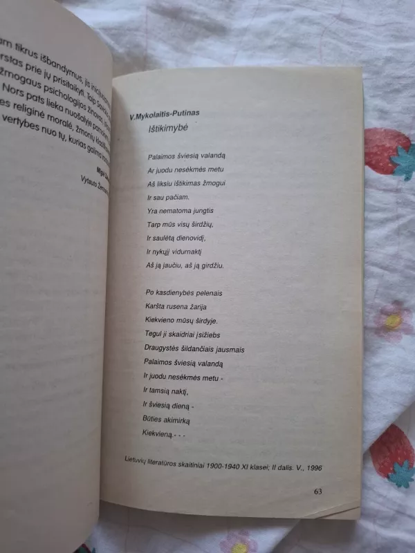 Teksto analizė bei interpretacija - Panevėžio moksleivių darbai, Įvairūs autoriai, knyga 4