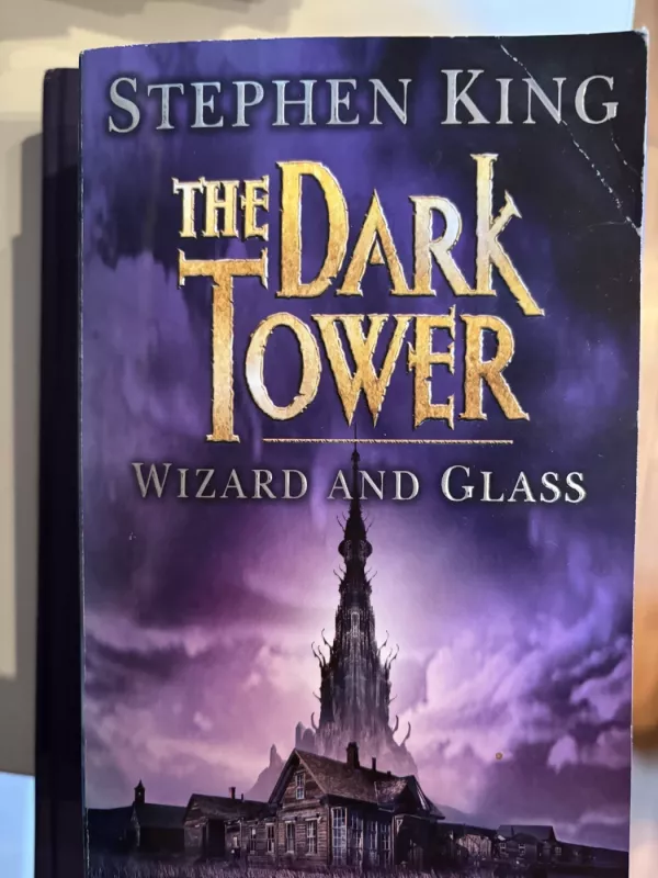 Mergina, kuri žaidė su ugnimi - Stieg Larsson, knyga 5