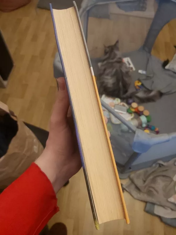 Šešėlių šokis - Julie Garwood, knyga 3