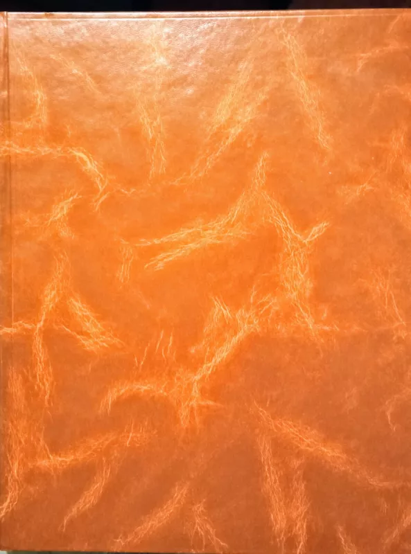 Žurnalų "Panelė" komplektas - Daug autorių, knyga 2