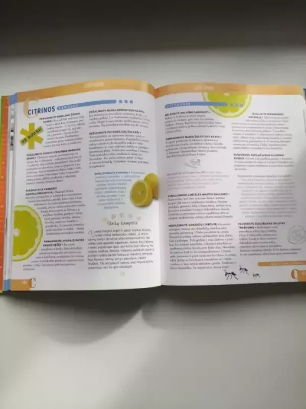 Nepaprastas paprastų daiktų naudojimas - Autorių Kolektyvas, knyga 4