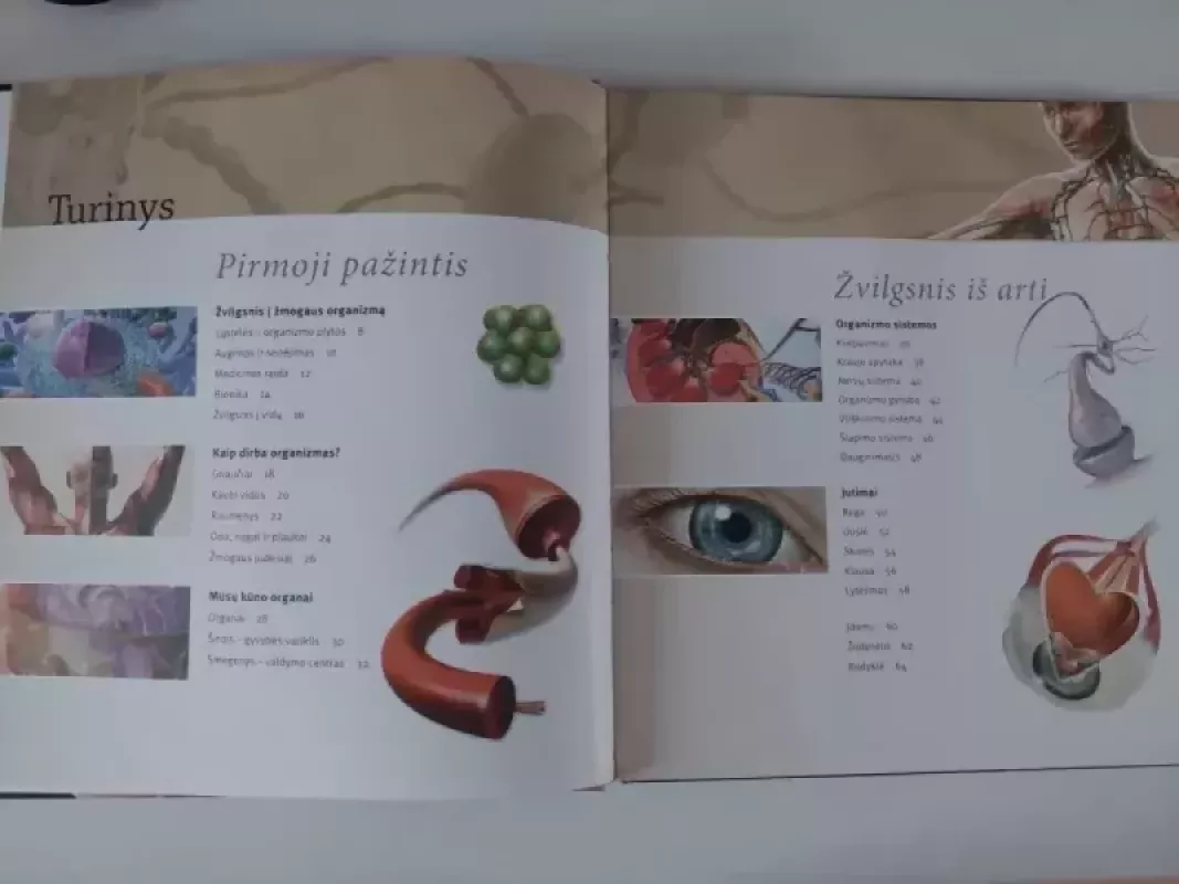 Žmogaus kūnas - Autorių kolektyvas (įvairūs), knyga 4