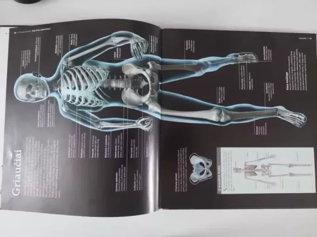Žmogaus kūnas - Autorių kolektyvas (įvairūs), knyga 5