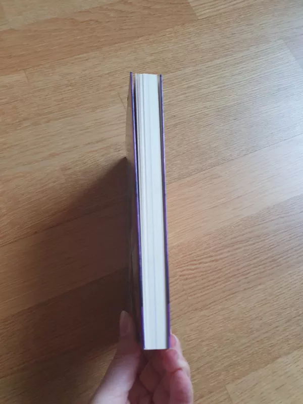 Rango. Romanas vaikams - Justine Fontes, knyga 5