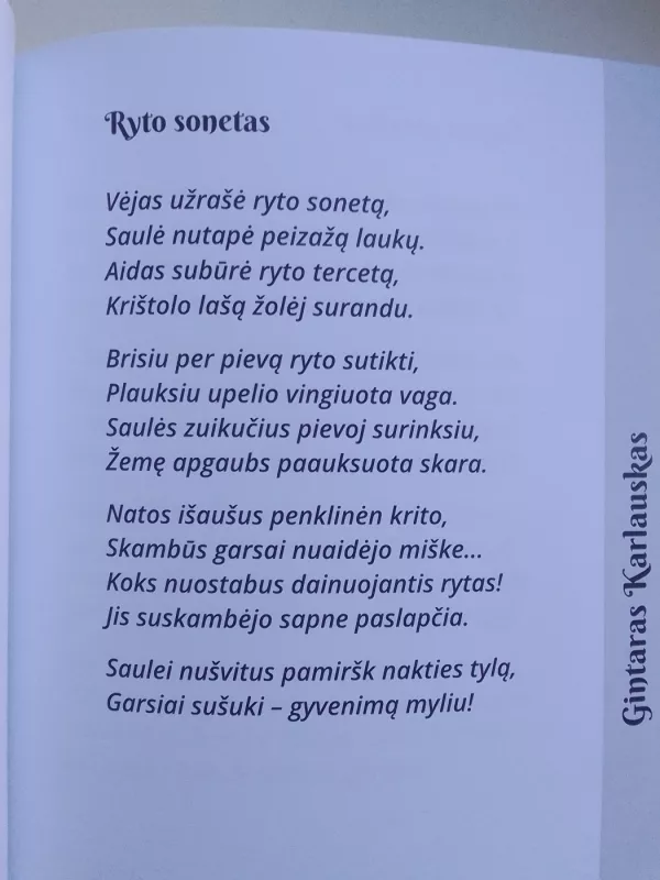 Mintys, gydančios vienatvę - Autorių Kolektyvas, knyga 5