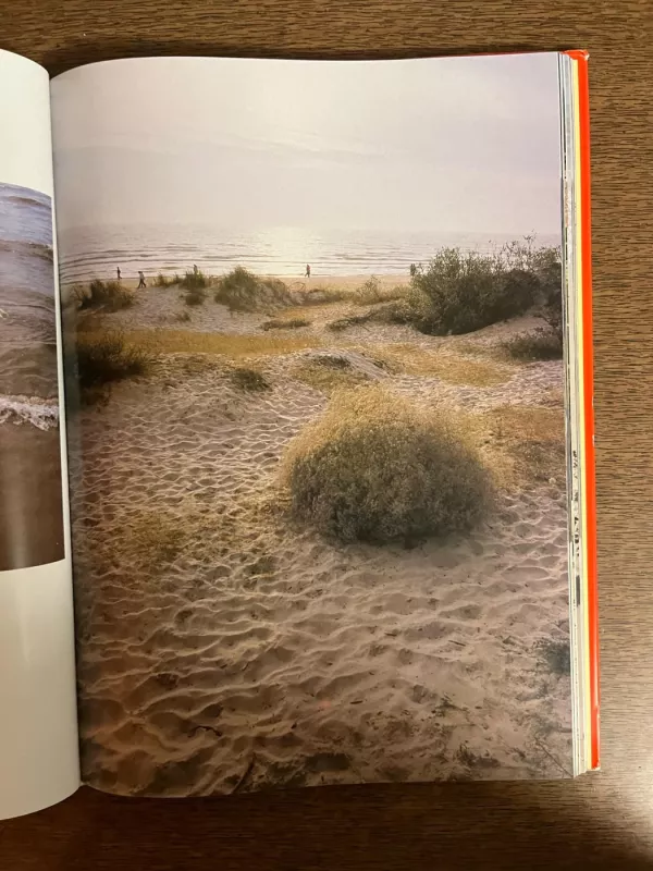 Palanga - ZINAS KAZĖNAS, knyga 5