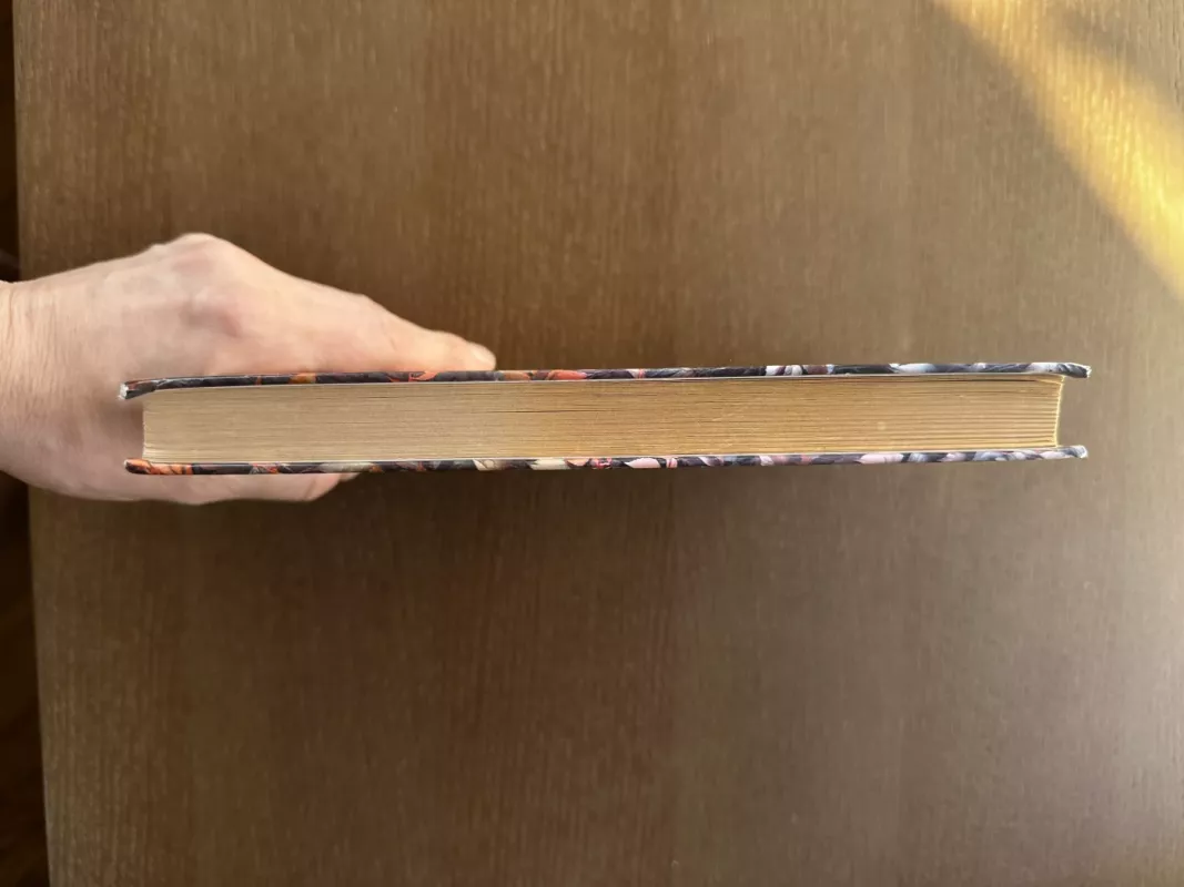 Siena: romanas - Marlen Haushofer, knyga 3