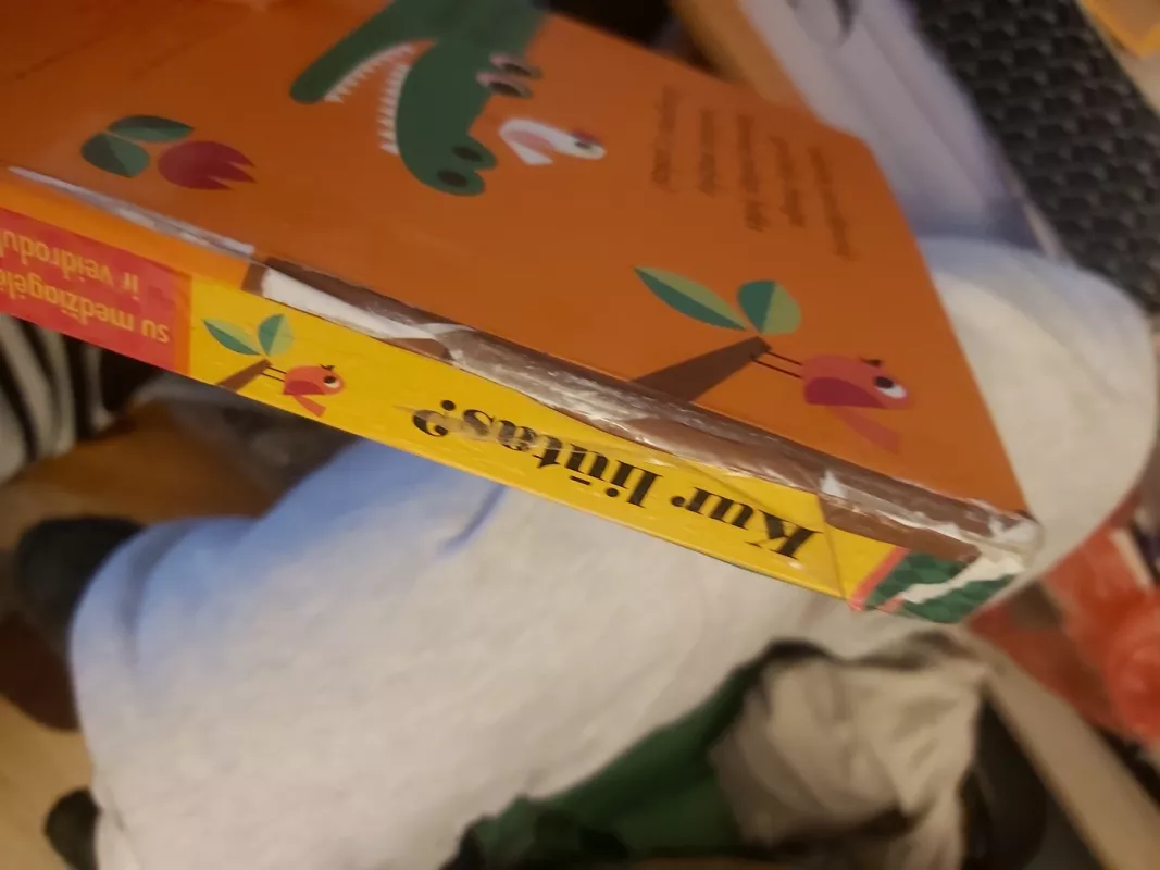 Kur liūtas? - Ingela P Arrhenius, knyga 5