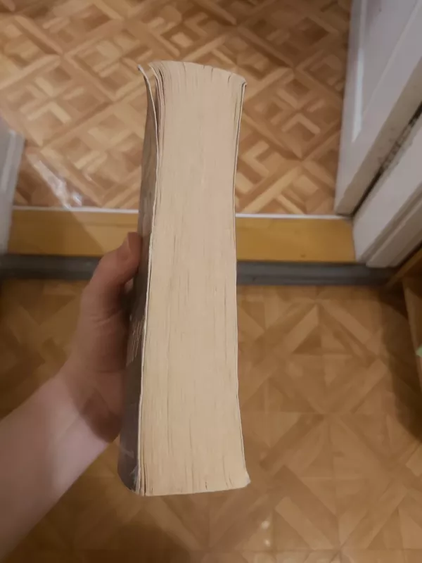 Traitor - Rory Clements, knyga 3