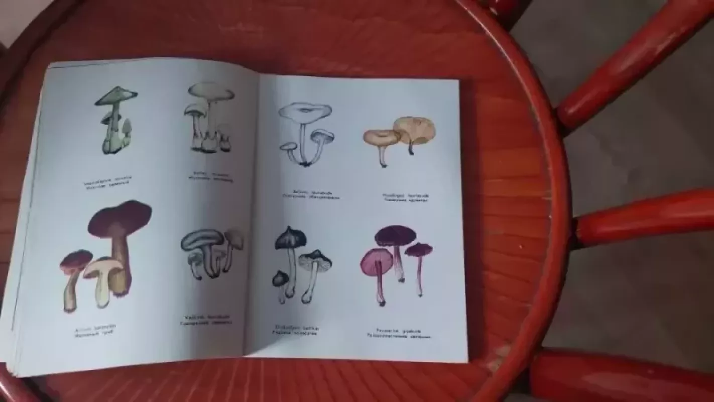 Miškų lankytojams - V. Červokas, knyga 3