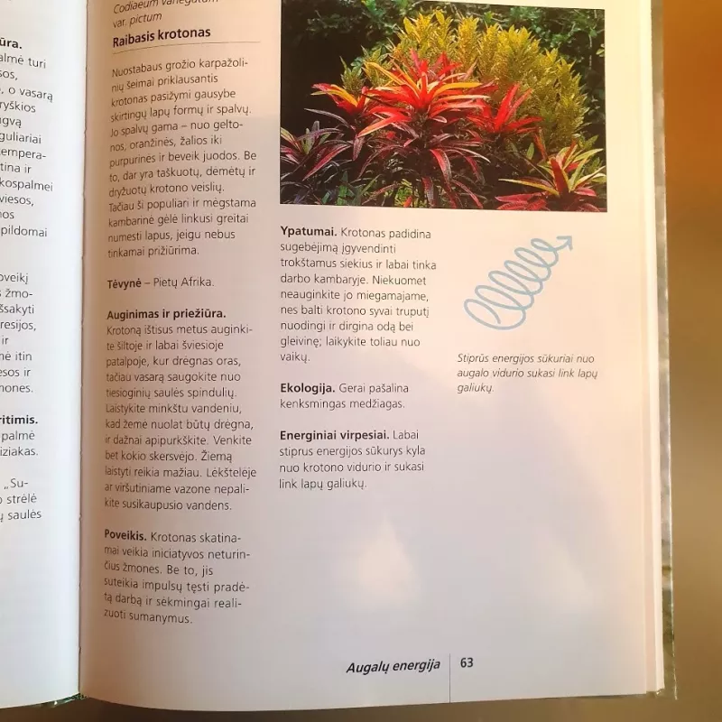 Kambarinių augalų energija - Eva Katharina Hoffmann, knyga 4