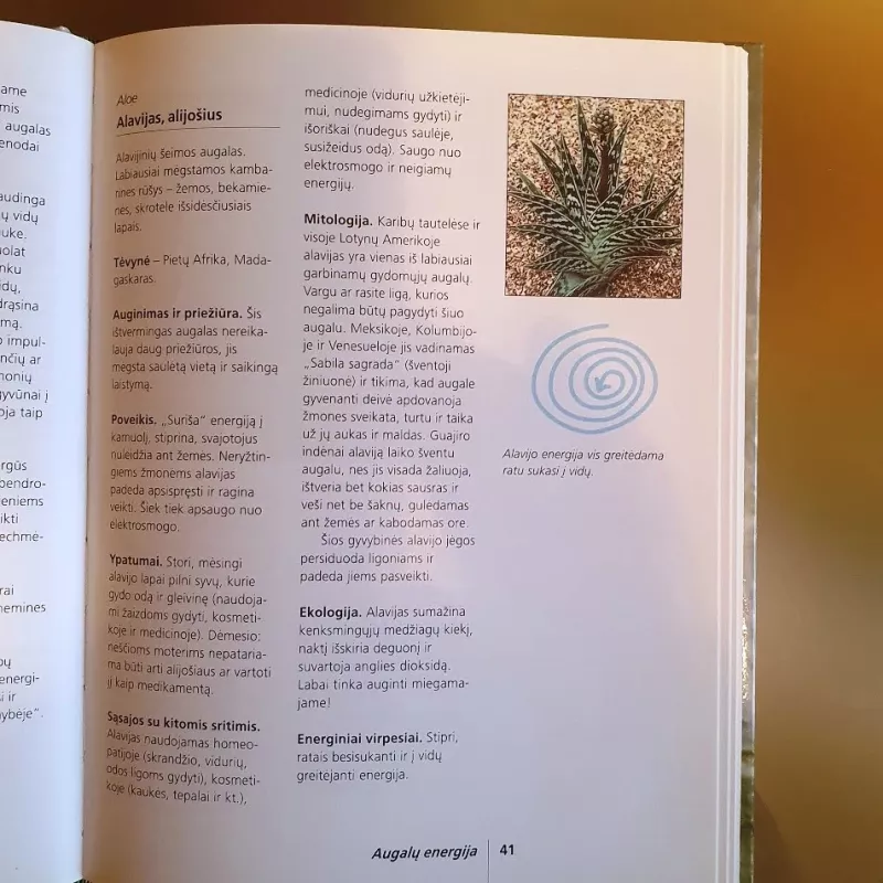 Kambarinių augalų energija - Eva Katharina Hoffmann, knyga 5