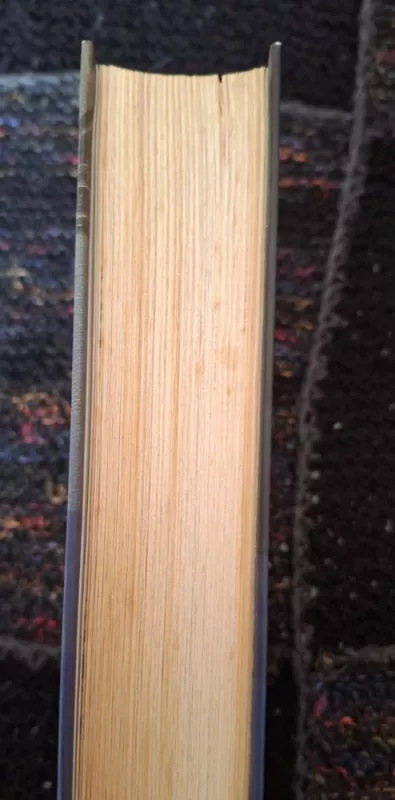 Egziliantės užrašai: esė, portretų eskizai, atsiminimai, impresijos - Sluckaitė-Jurašienė Aušra Marija, knyga 5