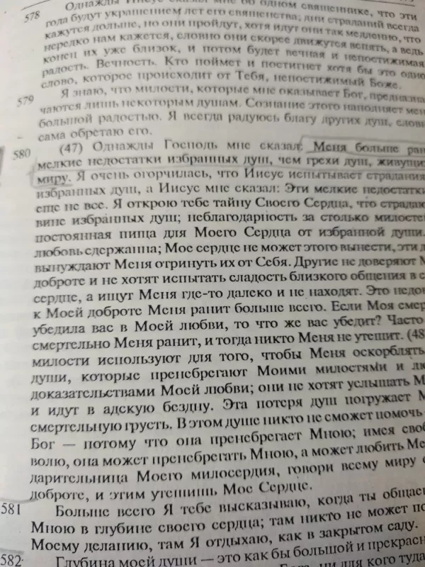 Vienuolės Faustinos asm. UŽRAŠAI - Šv.sesuo Faustina Kovalska, knyga 4