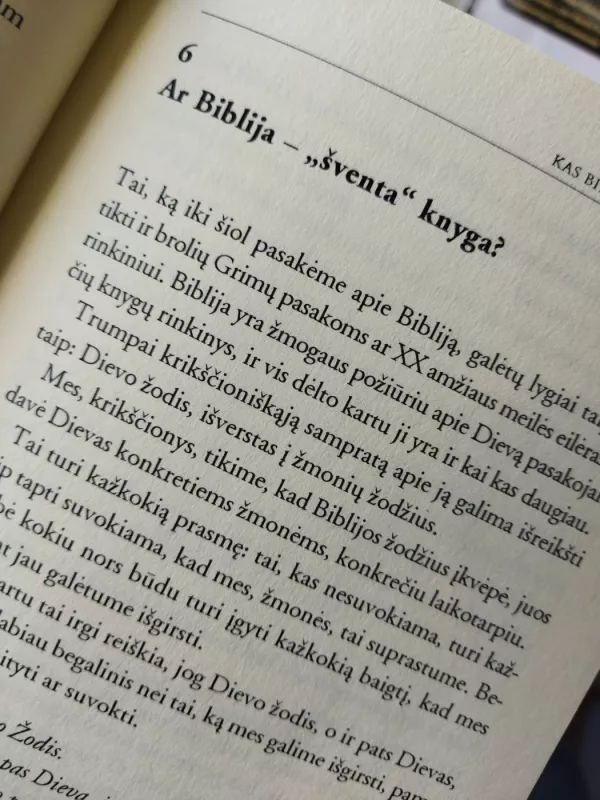 25 Žingsniai norint suprasti BIBLIJĄ - Andrea Schwarz, knyga 6