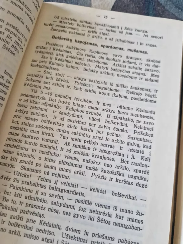 Savanorių žygiai (2 knygos) - Petras Ruseckas, knyga 5