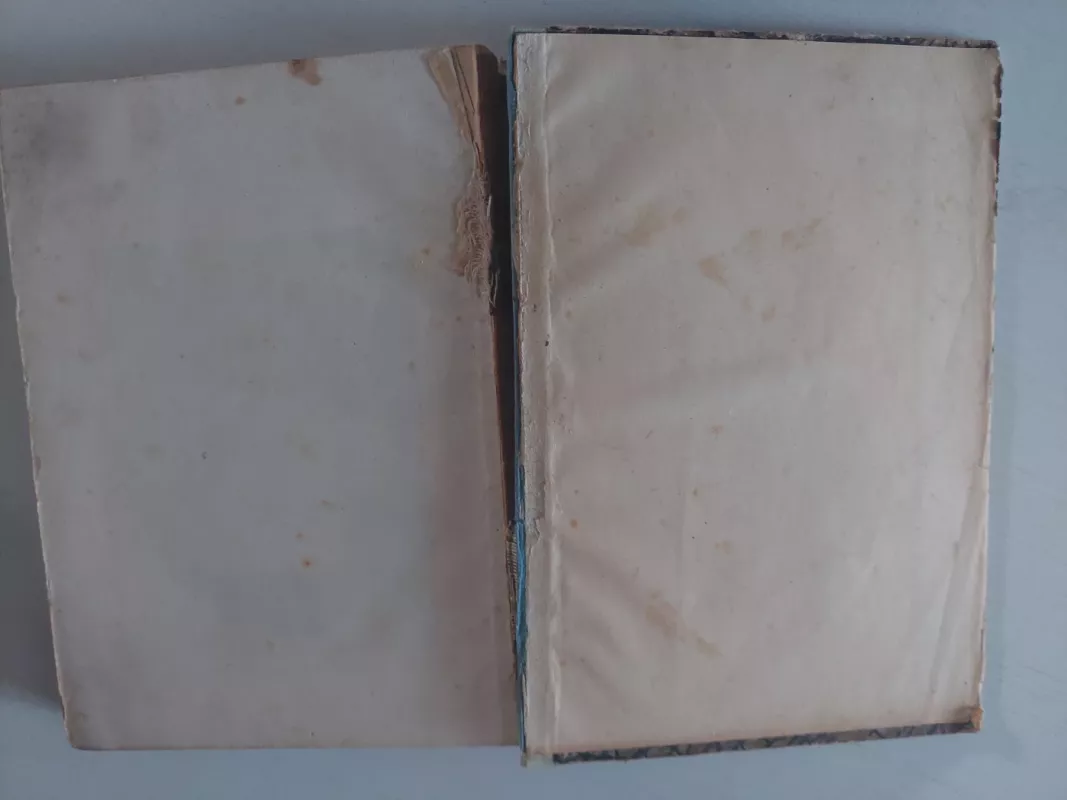 Puškino lyra 1799-1949 - Aleksys Churginas, knyga 4