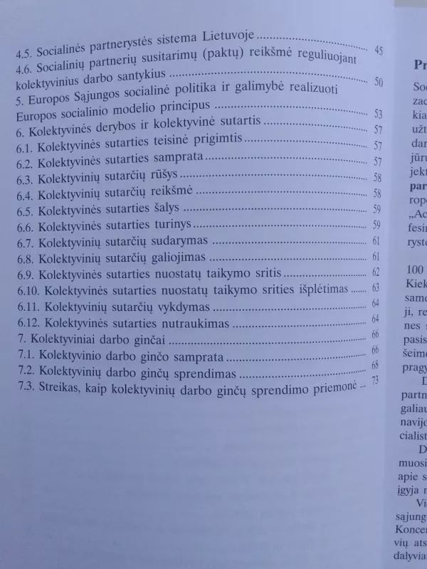 Profesinių sąjungų veikla ir socialinės partnerystės plėtra Lietuvoje - Daiva Petrylaitė, knyga 4