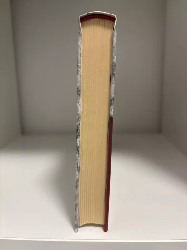 Visi paukščiai gieda - Evie Wyld, knyga 4