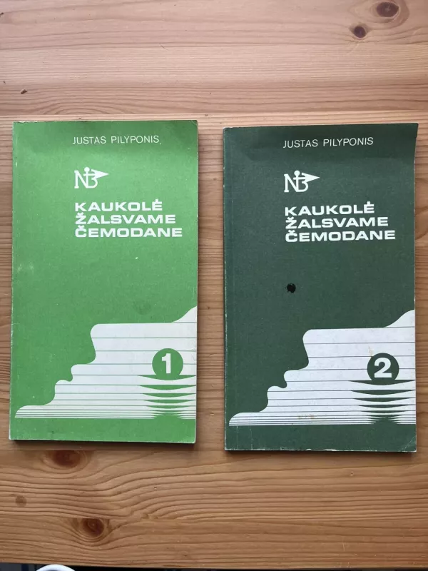 Kaukolė žalsvame čemodane (2 dalys) - Justas Pilyponis, knyga 2