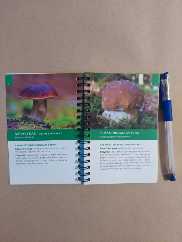 100 grybų rūšių, kurias turi pažinti kiekvienas - Autorius nenurodomas, knyga 3