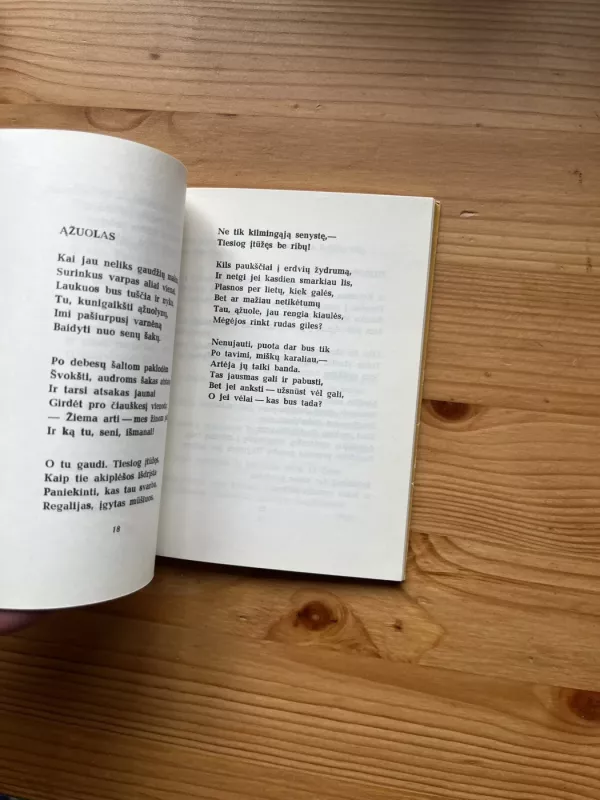 Poezija - Leonidas Martynovas, knyga 4