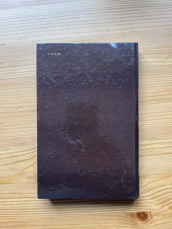 Rudens ekvinokcija - Vytautas Bubnys, knyga 5