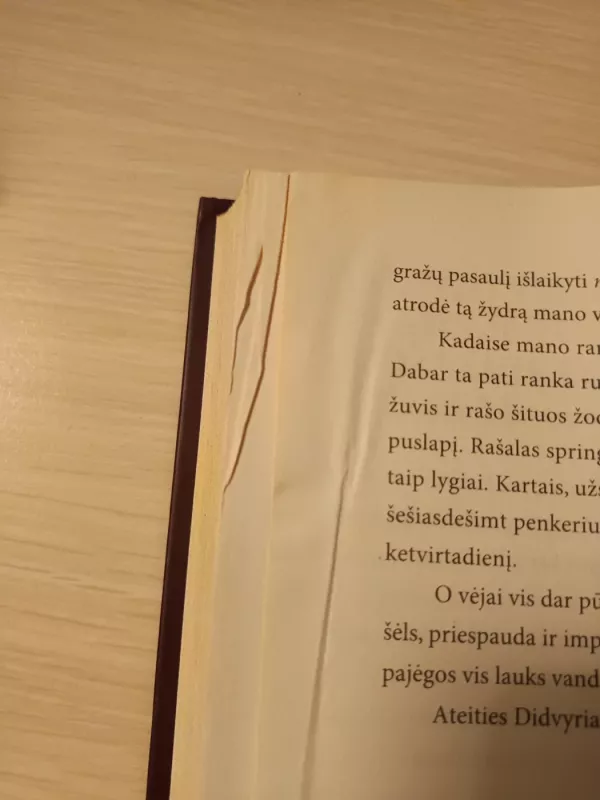 Kaip kalbėtis su slibinais - Cressida Cowell, knyga 4