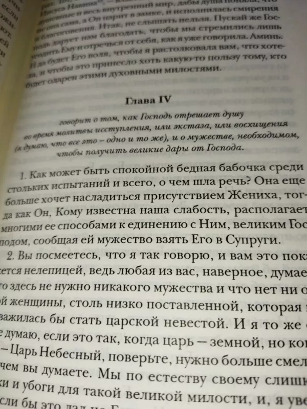 Vidinė pilis - Šv. Teresa de Avila, knyga 6