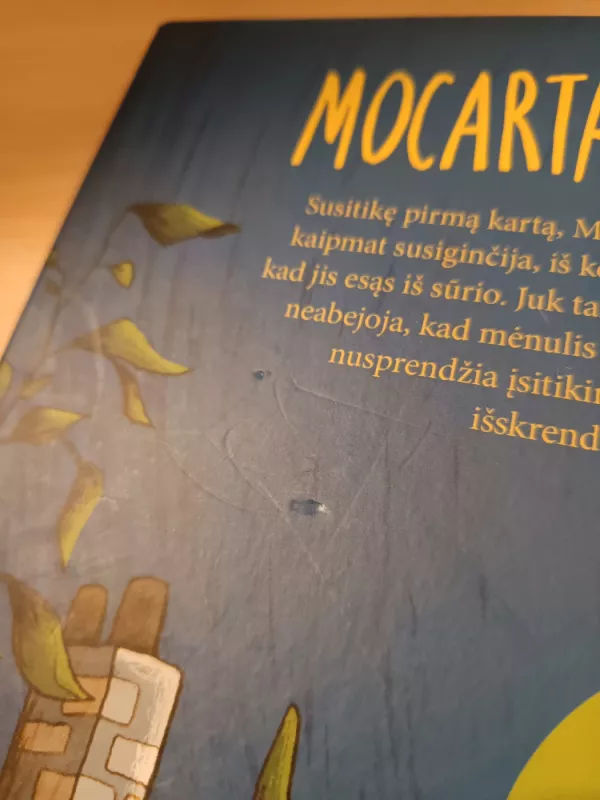 Mocartas ir Robinzonas skrenda į mėnulį - GUNDI HERGET, knyga 3