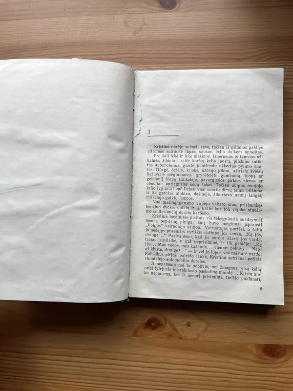 Rudens ekvinokcija - Vytautas Bubnys, knyga 3