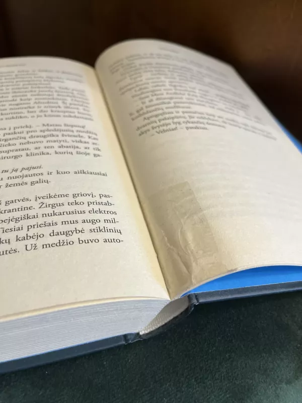 Persekiojamoji - P. C. Cast, Kristin  Cast, knyga 4