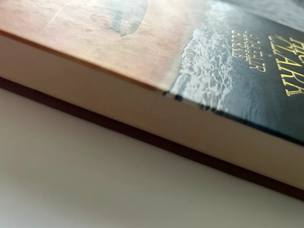 Dalelė mano širdies - Mary Higgins Clark, Alafair Burke, knyga 4