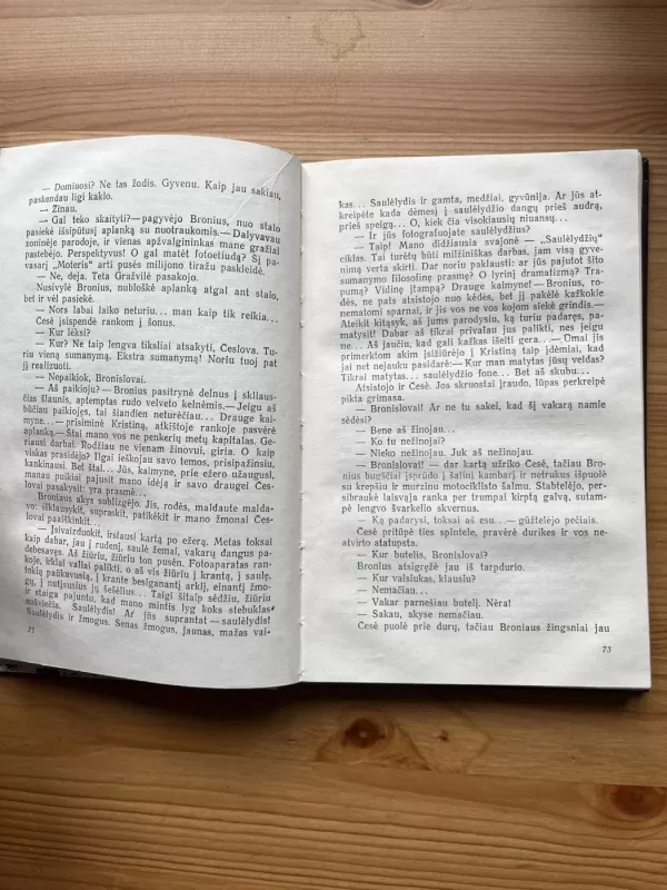 Rudens ekvinokcija - Vytautas Bubnys, knyga 4