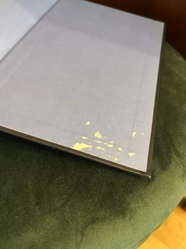 Pažymėtoji - P. C. Cast, Kristin  Cast, knyga 5