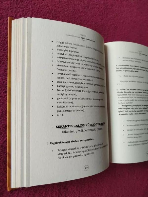 Logikos galia - Martynas Driukas (Trimurti), knyga 4